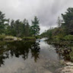 Meet your Posher, Jazmine